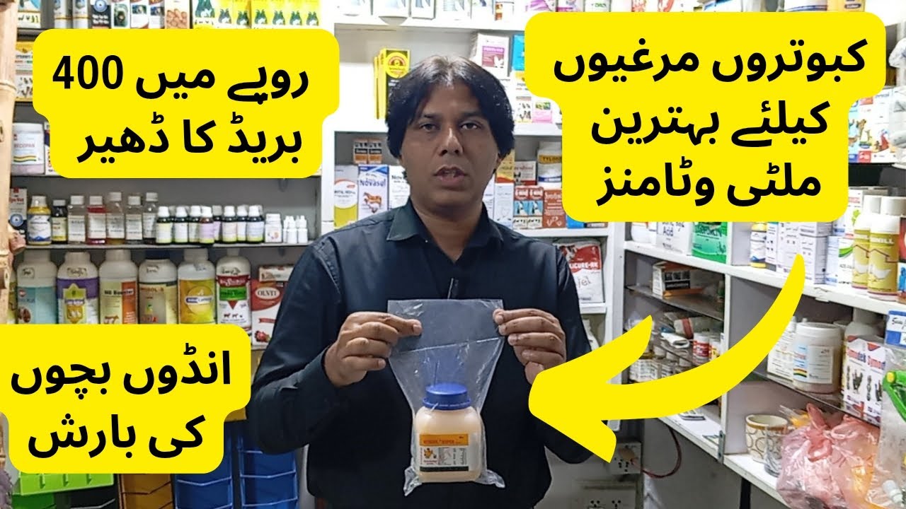 Multivitamins | Breeding Season | لوز پیکنگ  | انڈوں بچوں کا ڈھیر | 