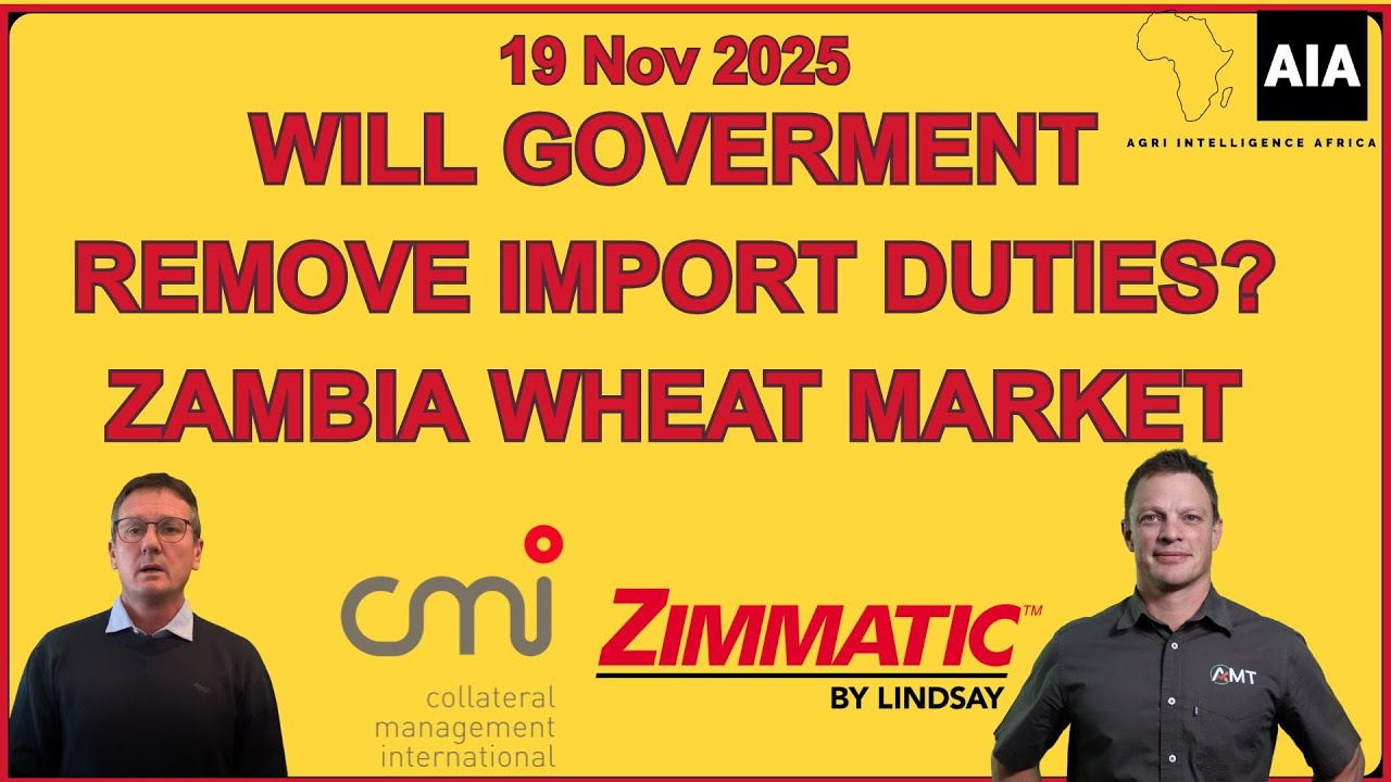 Will the Zambian Government Remove Import Duties? 19 Nov 2025 | African Grain Market Report