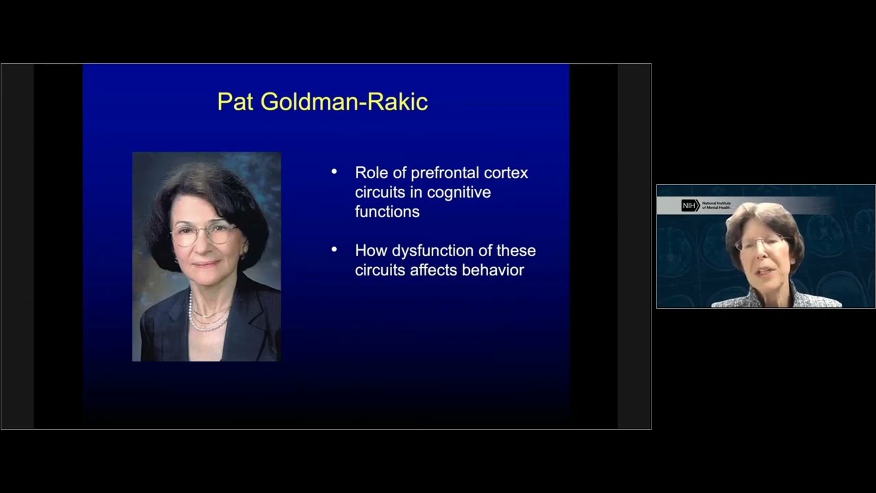 From Knowledge to Action: Roles of the Primate Prefrontal Cortex