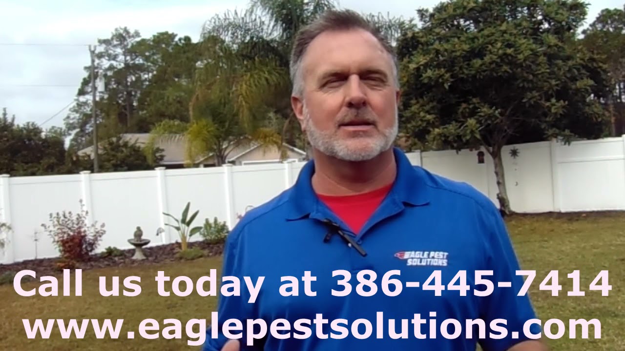 Eagle Pest Solutions