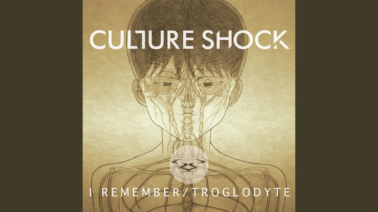 Troglodyte