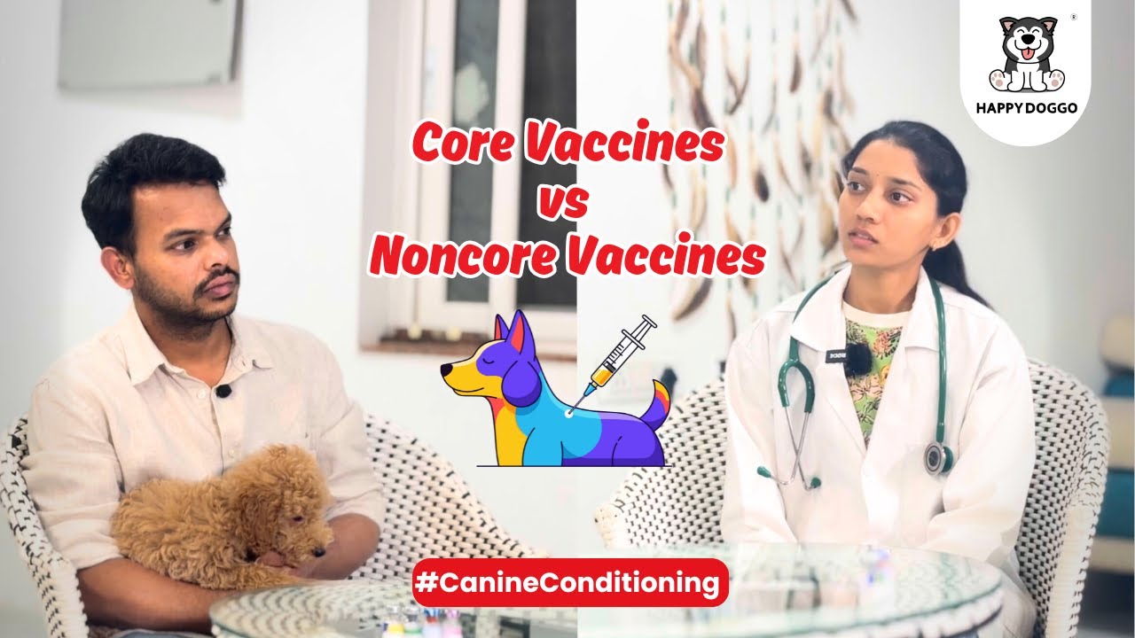 Core vs Non-Core Vaccines for Dogs, Vet Answers Common Questions