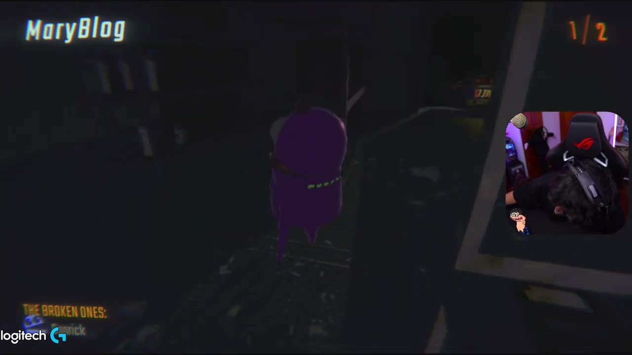 SYLVEE SE MOLESTA CON MARY XDDD ( SA VOZ PE)