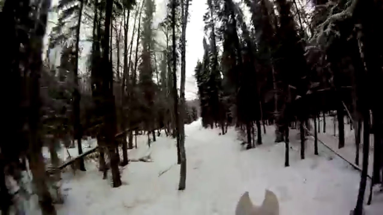 GoPro Winter Horse Trail Ride!