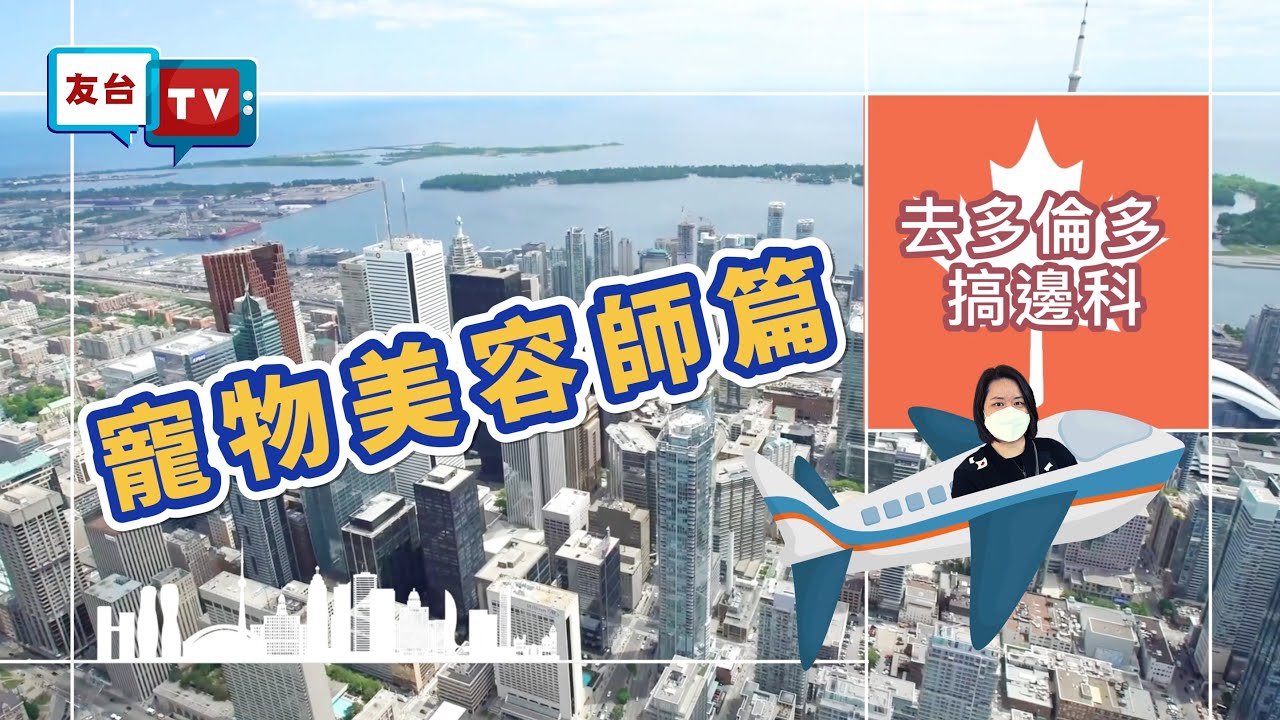 【去多倫多搞邊科—寵物美容師篇🐶】｜入行方法｜收入有幾多？