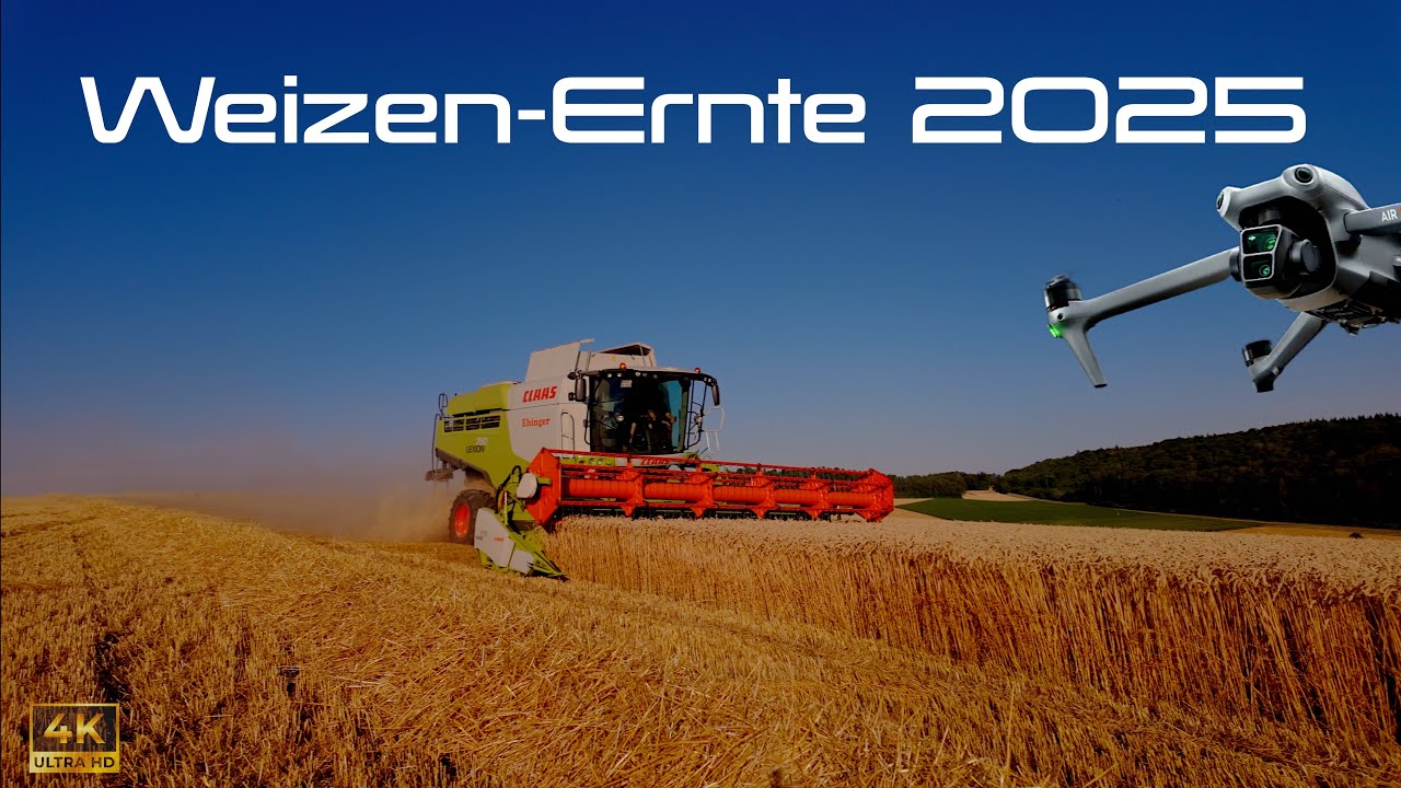 Weizenernte 2025 in Duchtlingen im Hegau