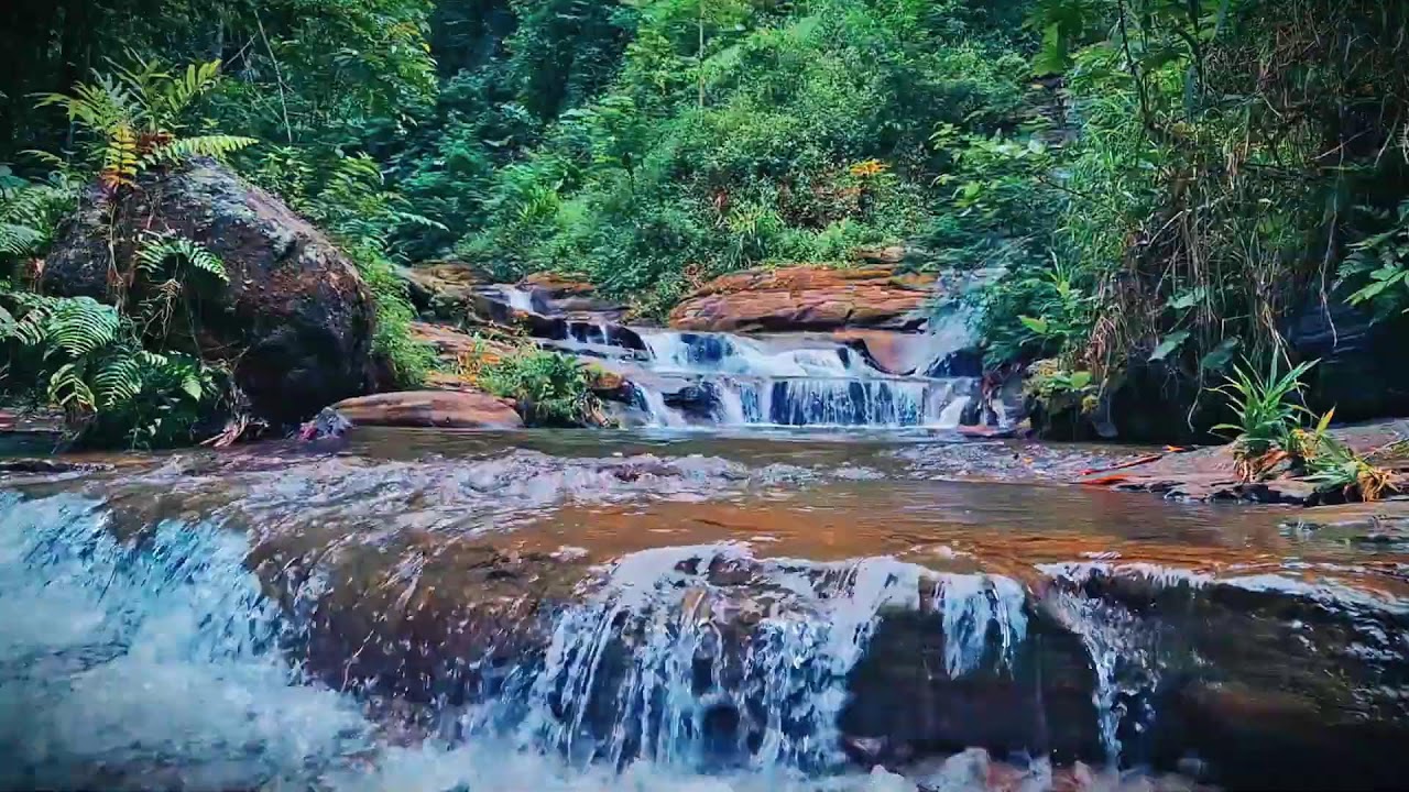Mountain River Waterfall Flowing | Water Sounds, Nature White Noise, River Sounds for Sleeping