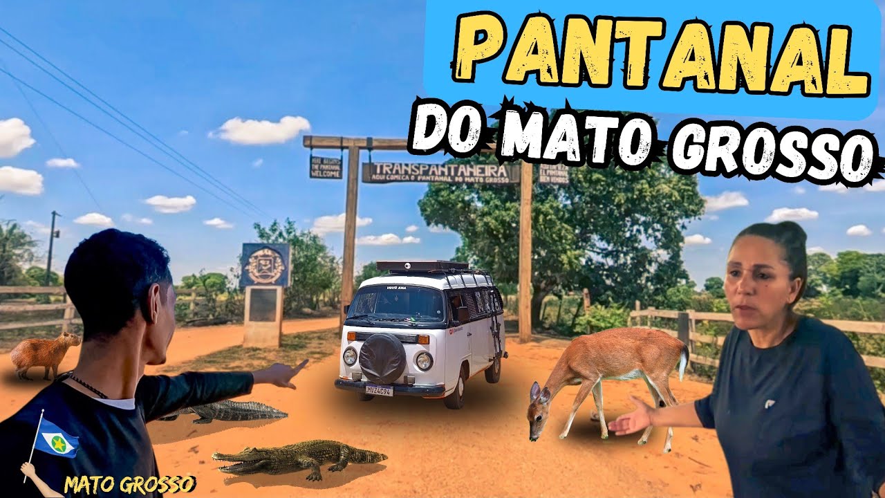 PANTANAL MATOGROSSENSE. UM PARAÍSO SELVAGEM NO BRASIL. T.03 EP.145 #pantanal 