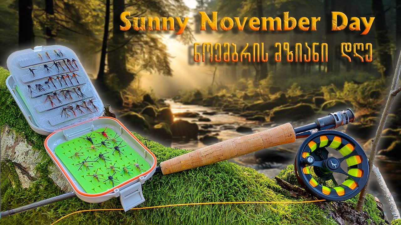 Sunny November Day-ნოემბრის მზიანი დღე