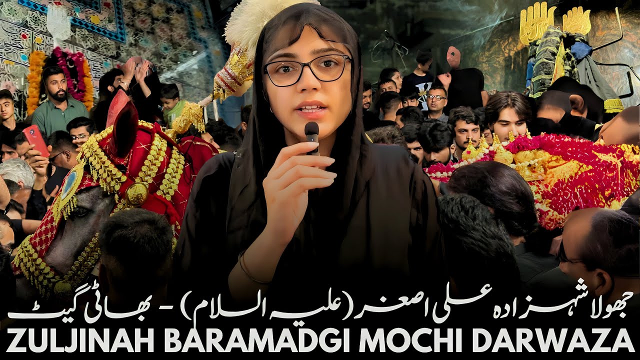 Jhoola Shehzada Ali Asghar(as) Bhati Gate | Zuljinah Baramadgi Mochi Darwaza 2024