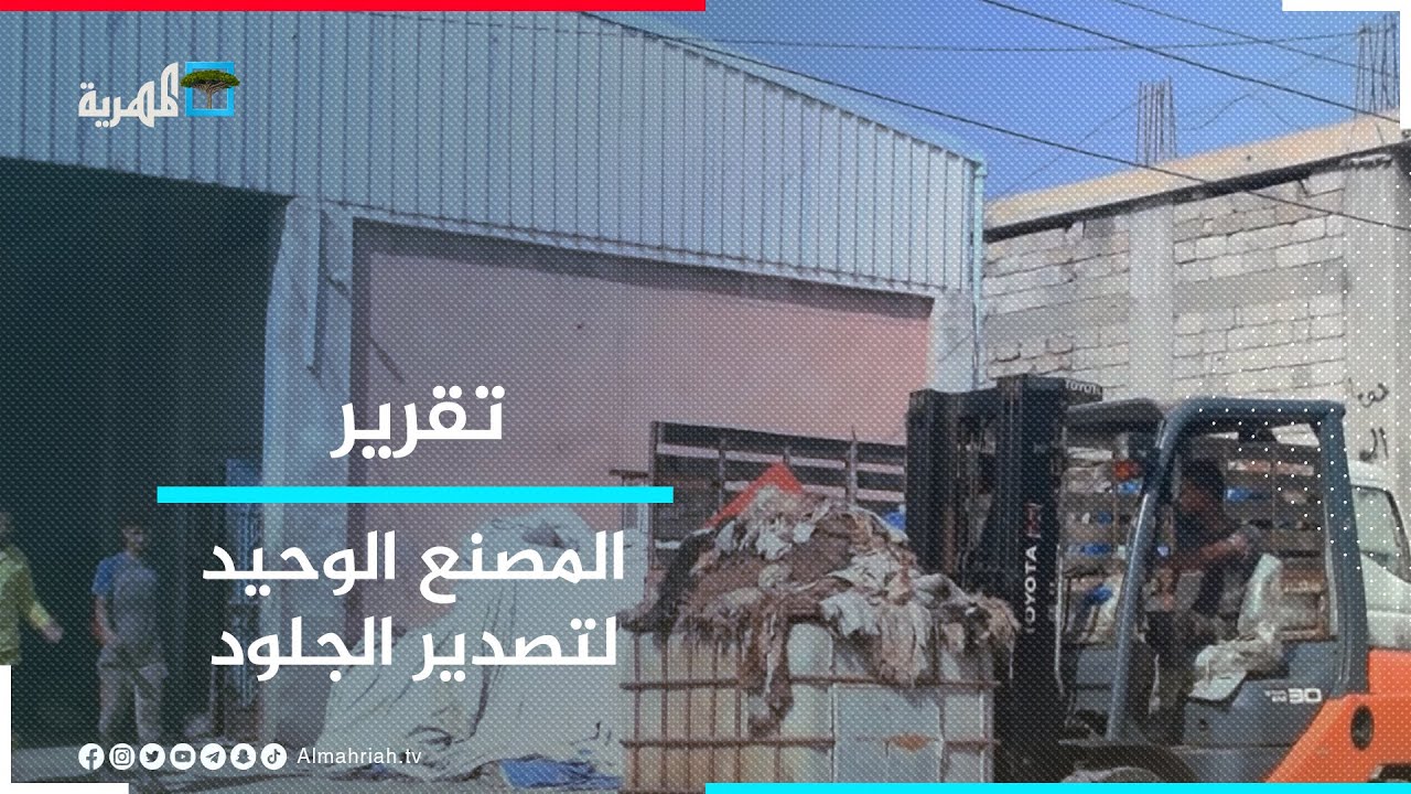 مدبغة الماهر.. مصنع التصدير الوحيد للجلود في أبين