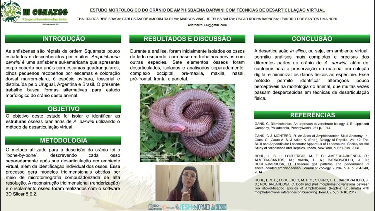ESTUDO MORFOLÓGICO DO CRÂNIO DE AMPHISBAENA DARWINI COM TÉCNICAS DE DESARTICULAÇÃO VIRTUAL