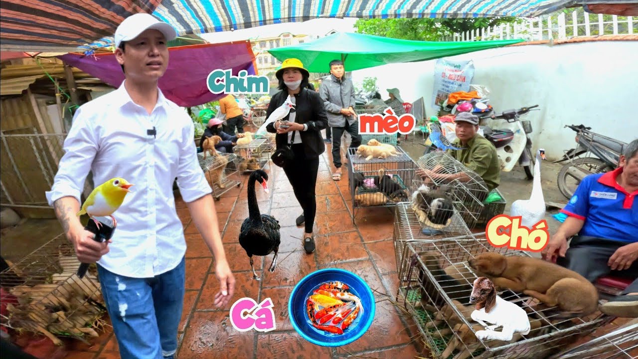 Lần Đầu Đi Chợ Thú Cảnh Lớn Nhất Miền Bắc - Mua Chào Mào Bạch Quế Nghịch Được Tặng Khuyên Đột Biến