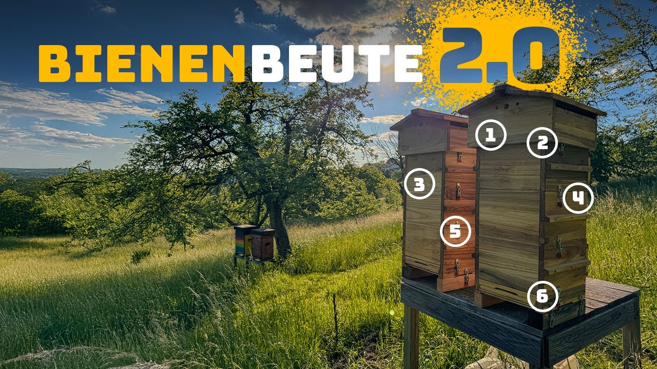 018 | So optimierst du deine Bienenbeute &ndash; 6 einfache Ma&szlig;nahmen