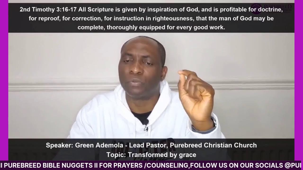 TRANSFORMED BY GRACE  II PUREBREED BIBLE NUGGETS
