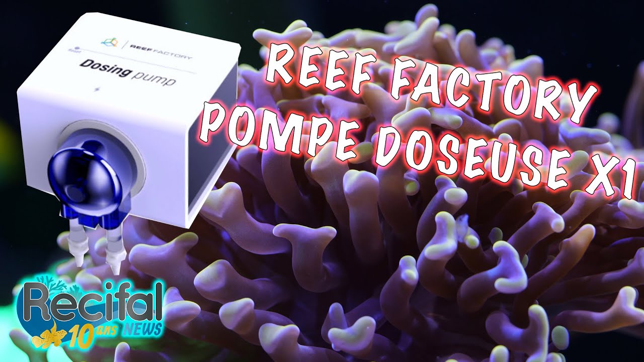 Reef Factory Dosing Pump X1 : test de la pompe doseuse connectée