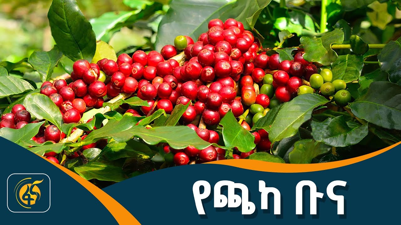 ኢትዮጵያ ለዓለም ያበረከተችው ፀጋ