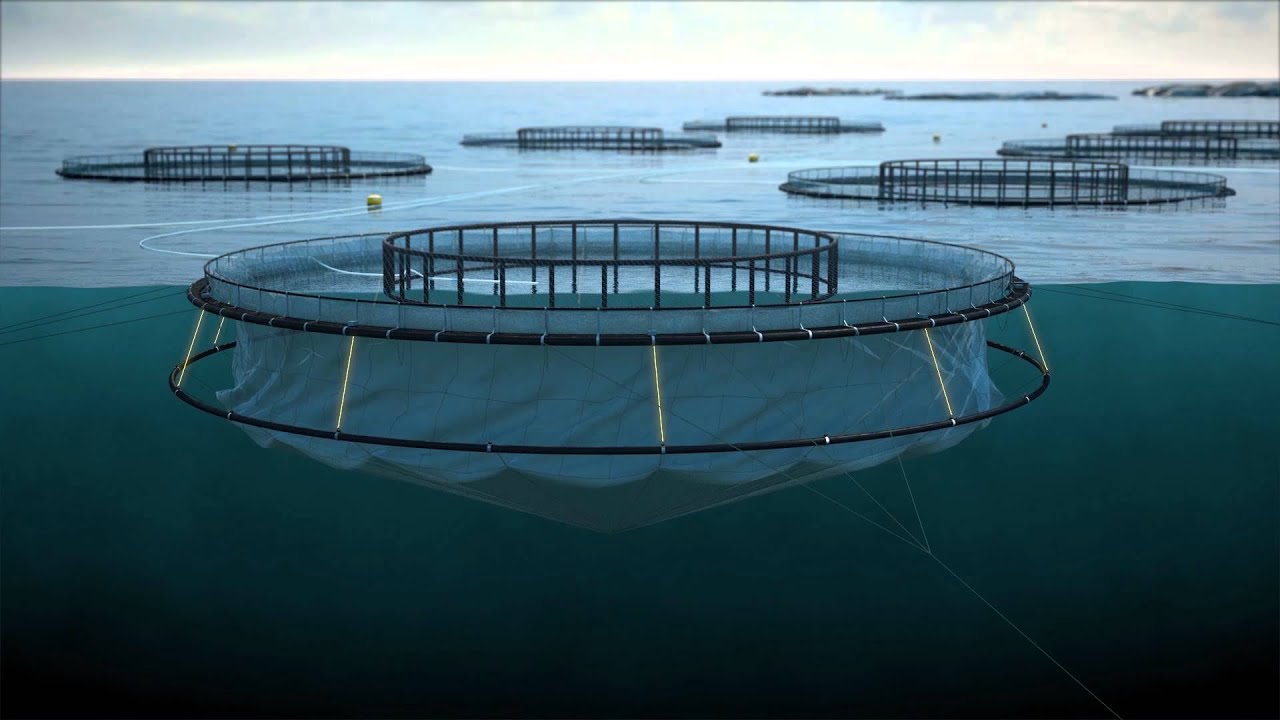 Aqualine Midgard System