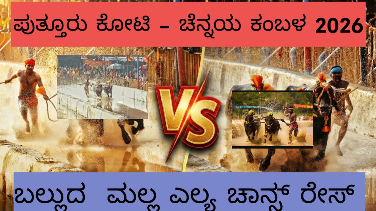 ಬಲ್ಲುದ ಮಲ್ಲ ಬಲ್ಲುದ ಎಲ್ಯ ಚಾನ್ಸ್ ರೇಸ್ // ಪುತ್ತೂರು ಕೋಟಿ ಚೆನ್ನಯ ಜೋಡುಕರೆ ಕಂಬಳ 2026