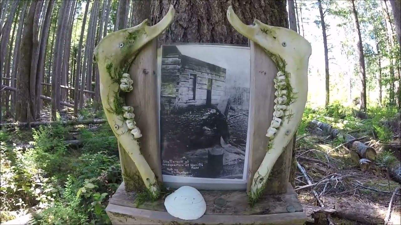 John Tornow Shootout Site
