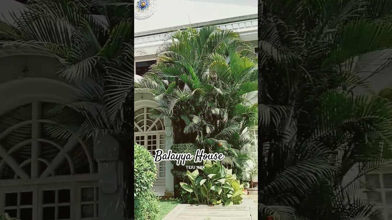 Balayya House at Hyderabad ❤️💫 #nandamuribalakrishna #jaibalayya #tejunbk #youtubeshorts #shorts