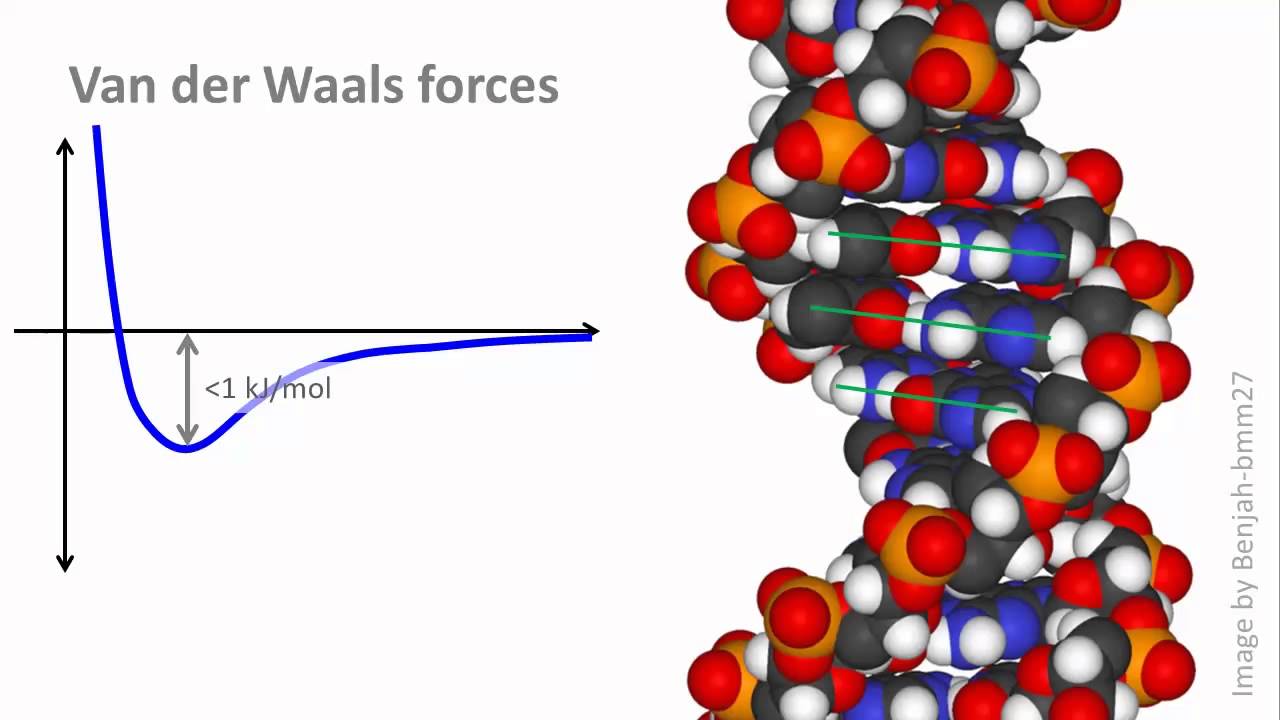 Biochemistry 2.3: Noncovalent interactions, pt 2