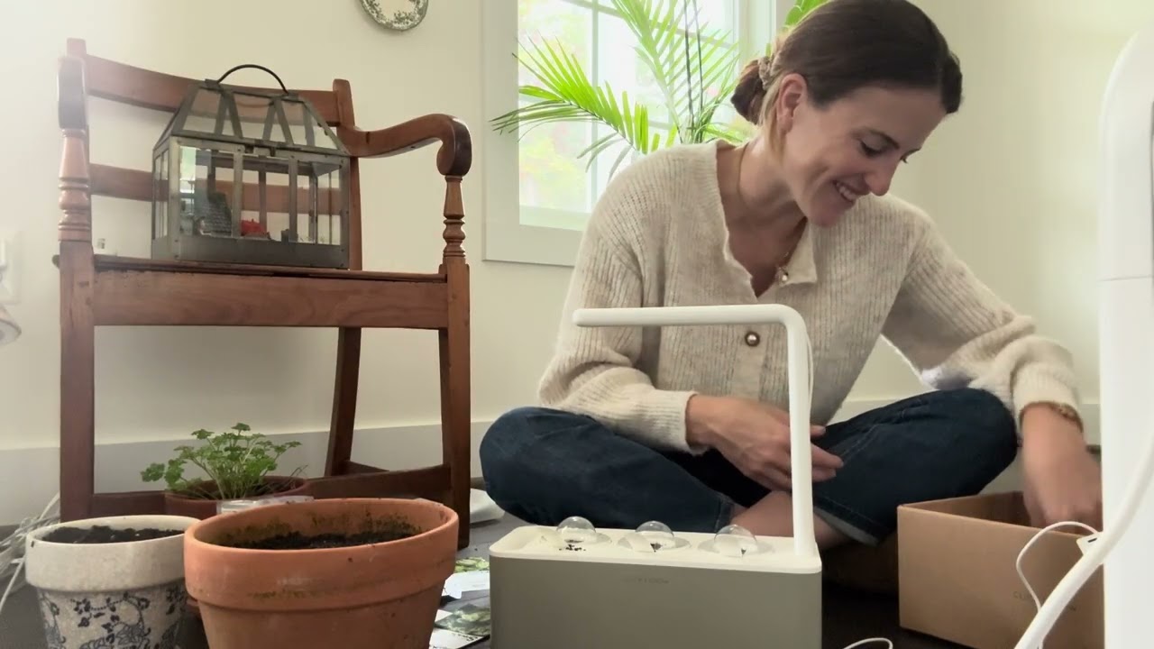 Заводим комнатный салатный сад! | The Reckless Garden