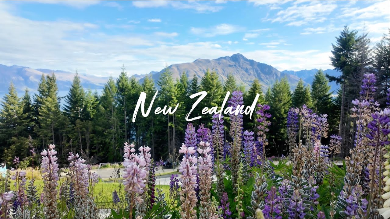 NEW ZEALAND 2026