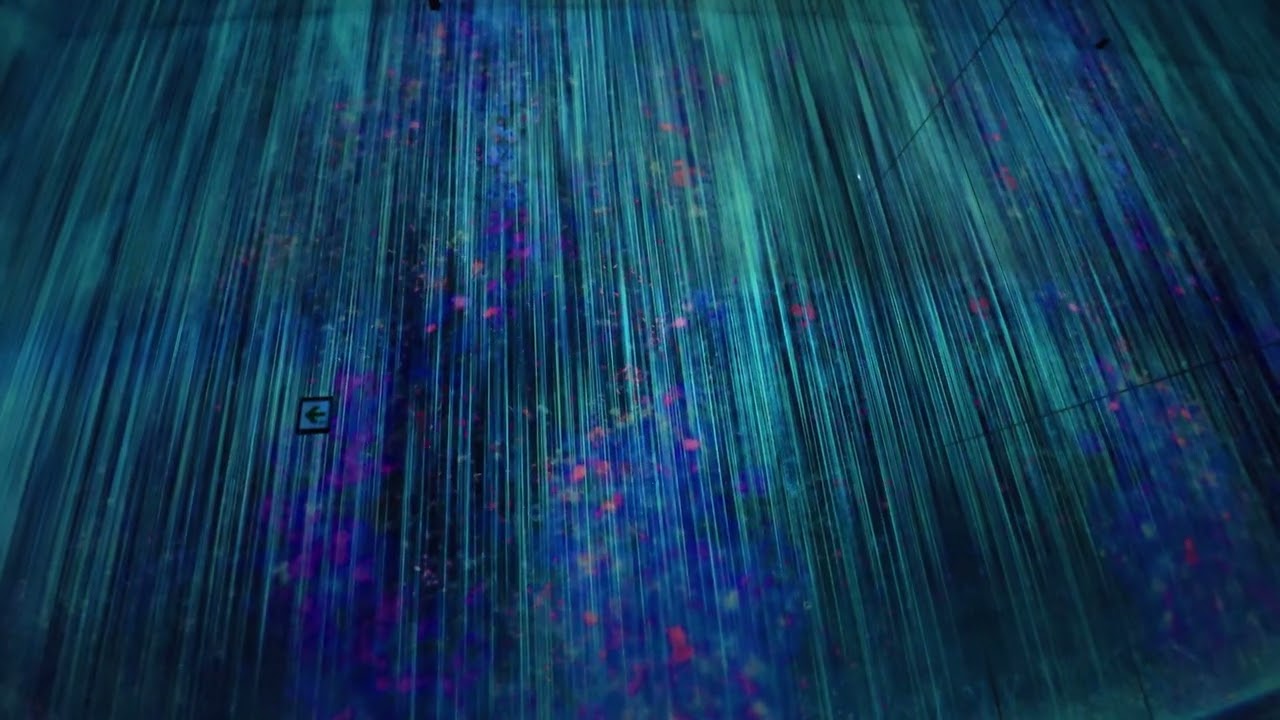 Exploring TeamLab BioVortex | Kyoto’s Mind-Blowing Digital Art Experience