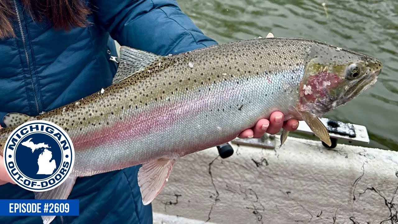 Steelhead Fishing, Rabbit Hunting; Michigan Out of Doors TV #2609
