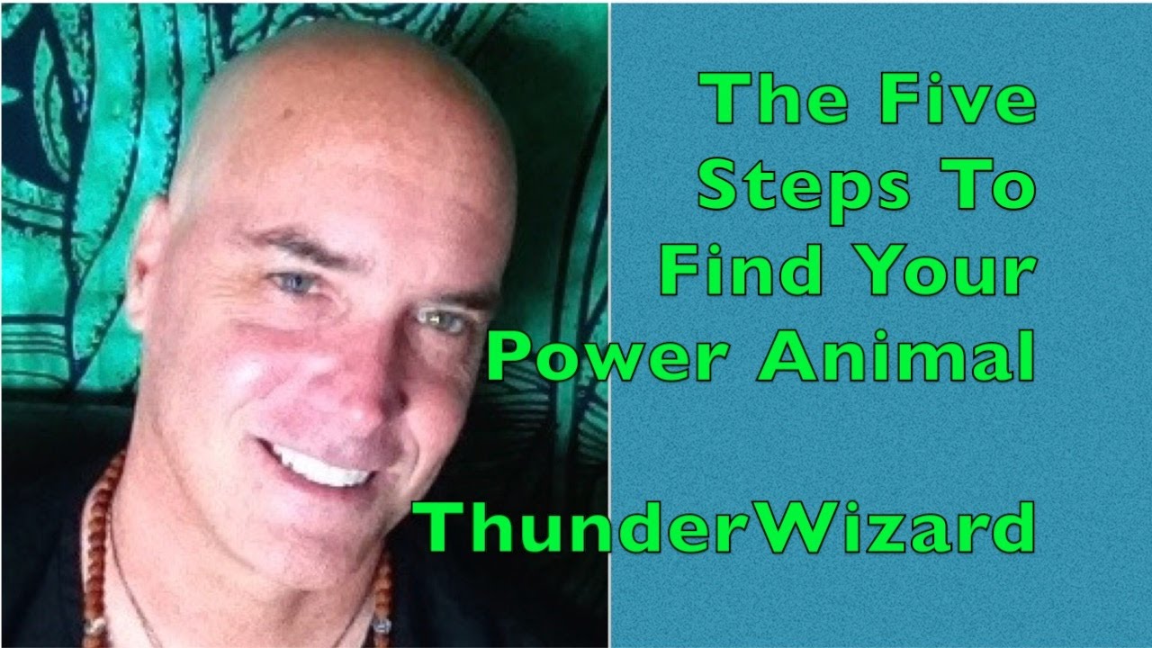 Five Steps to Find Your Power Animal - Spirit Animal -  Shamanism