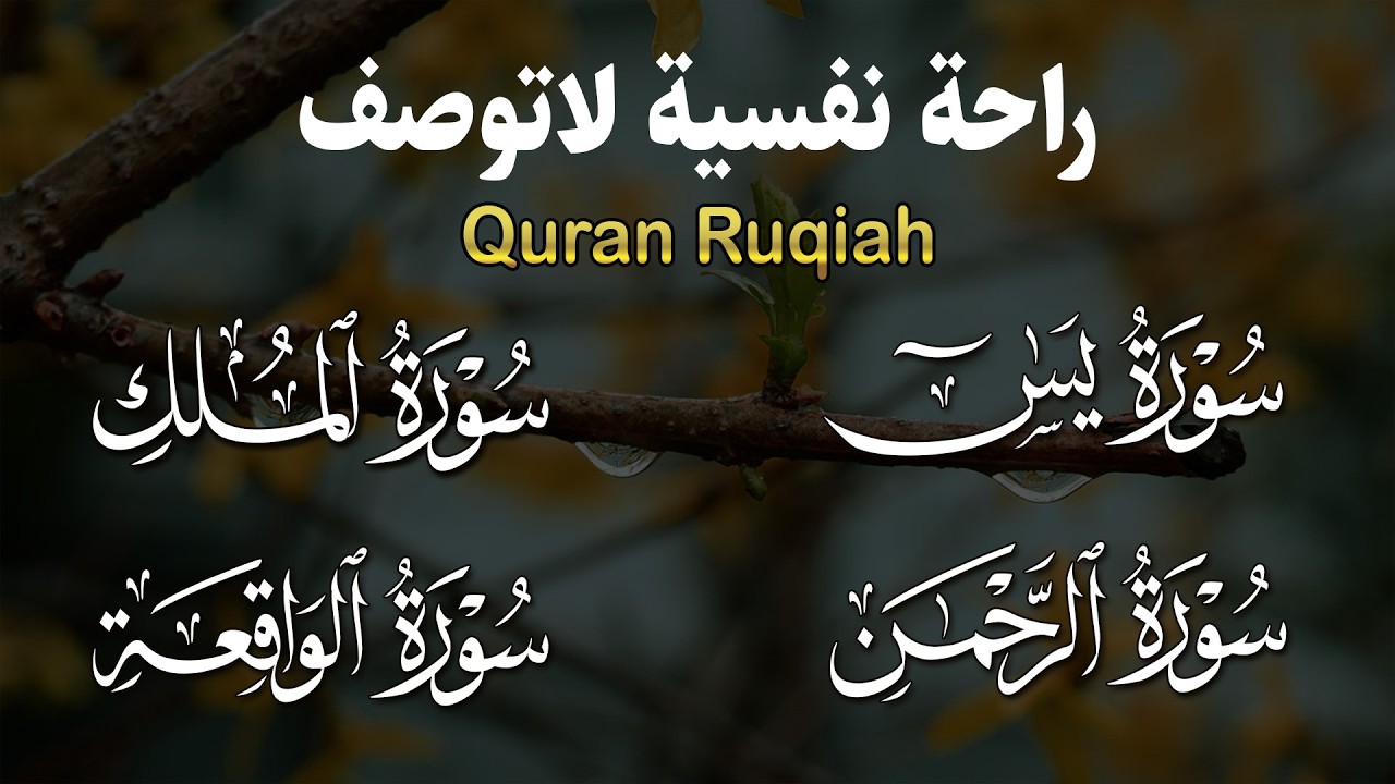 سورة يس❤️سورة الواقعة💛سورة الملك💚سورة الرحمن| سورالتحصين وزيادة الرزق والبركة بصوت هادئ مريح للقلب