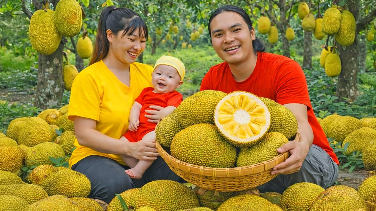 Harvesting Ripe Jackfruit on the Hill to Sell at the Market - Animal Care | SURVIVAL ALONE