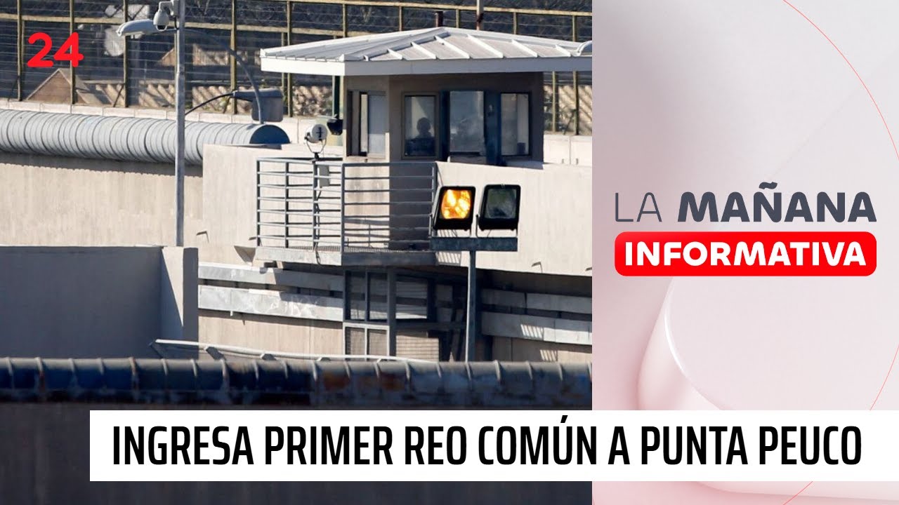 Ingresa primer reo com&uacute;n a exc&aacute;rcel Punta Peuco | 24 Horas TVN Chile