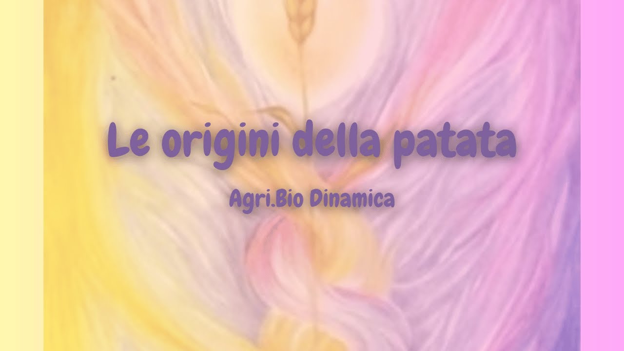 Le origini della patata | Ivo Bertaina - 56 -