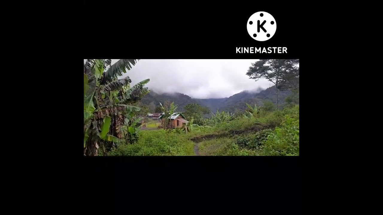OKSEA KAKA DENDIRIP BALIO JANGAN LUPA SUBSCRIBERS LIKE KOMEN.