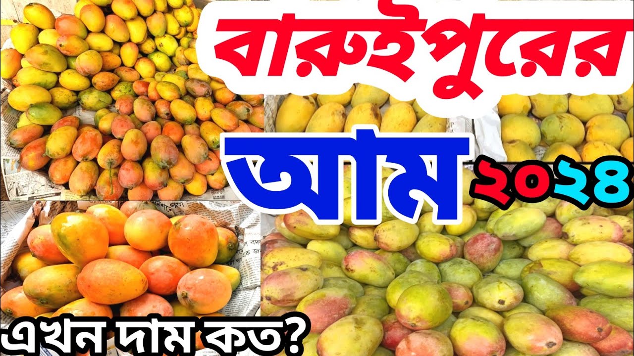 Baruipur mango market||Kolkata wholesale fruit market||Baruipur fruit market