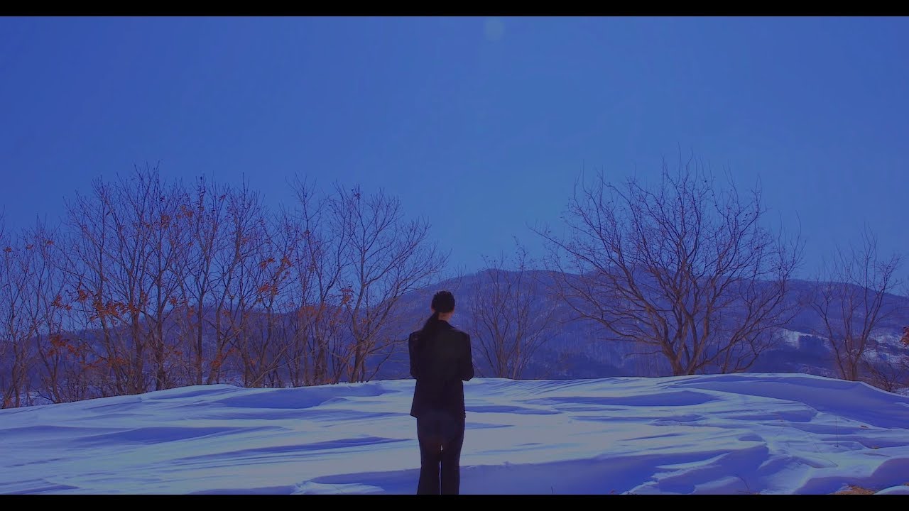 [MV] hyukoh(혁오) _ Big Bird(큰새)