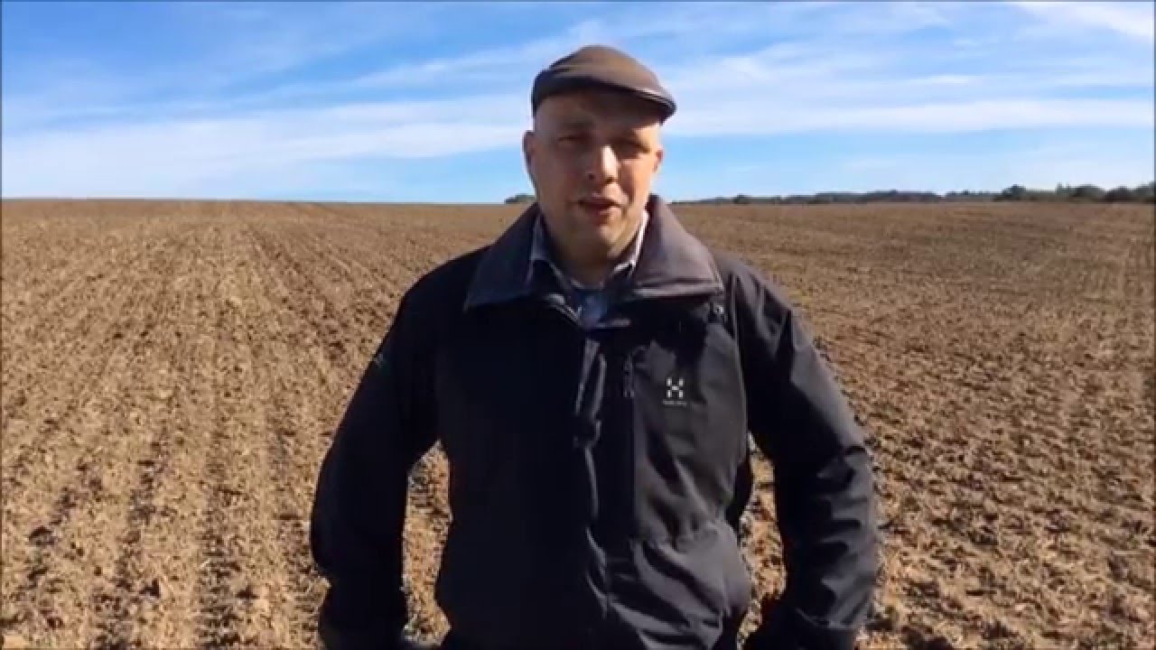 Anders Smedemand Musse om planteavl med reduceret jordbearbejdning