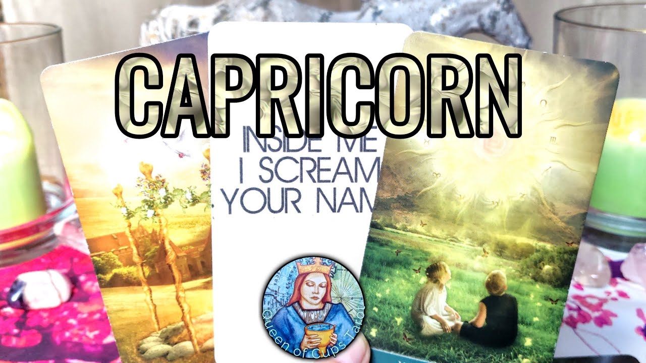 Capricorn - WHAT DO THEY WANT TO HAPPEN BETWEEN YOU TWO? ♑ ~ They want to protect you from them!