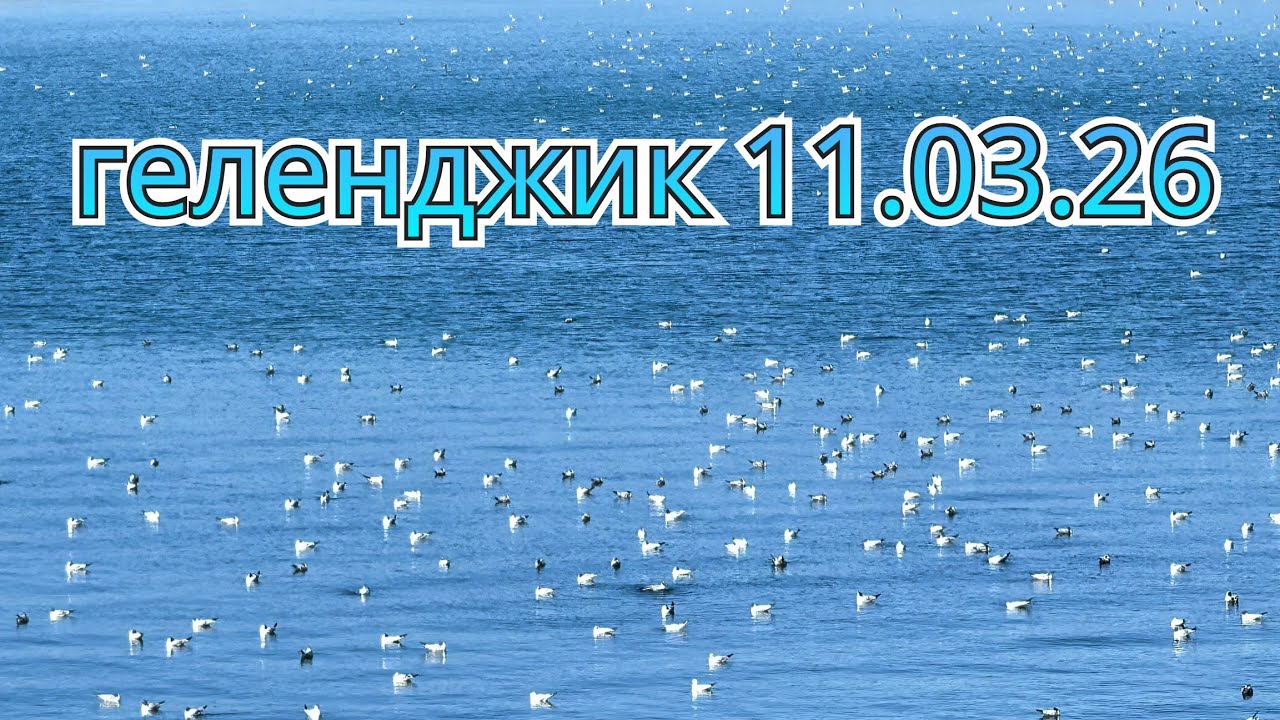 11 марта 2026 г. +14☀️🌊+11 Геленджик море солнца! ☀️🌊