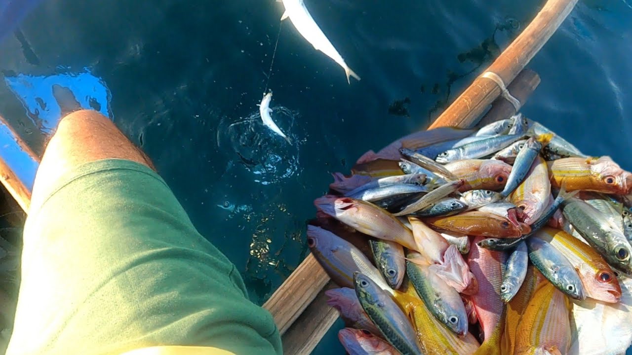 Sunod-sunod ang pahuli ng mga isda