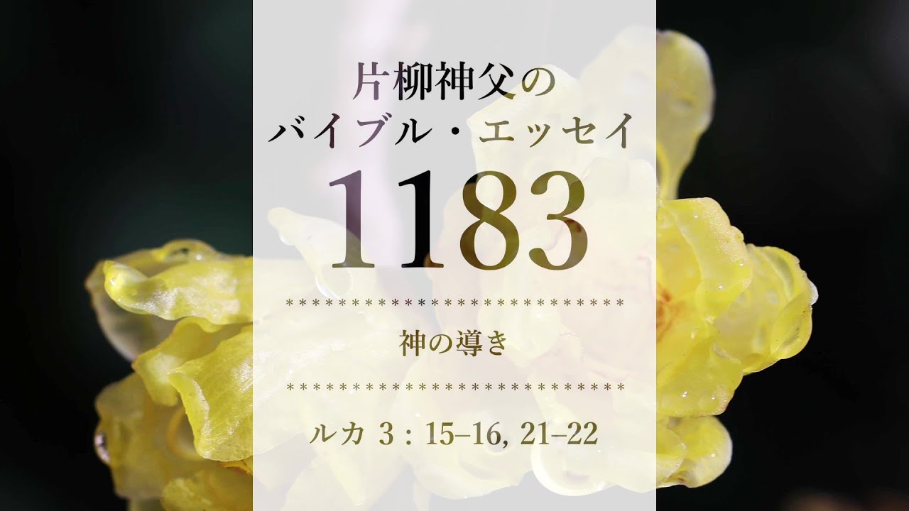 バイブル・エッセイ 1183『神の導き』（聖書朗読とミサ説教：片柳弘史神父）