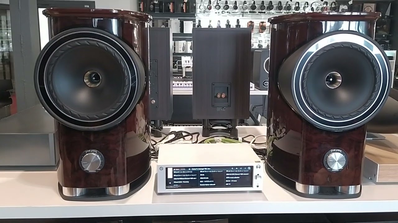 Fyne Audio F1-8 & Rose RS201E