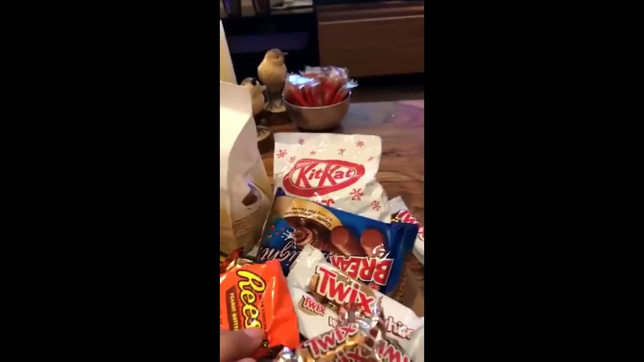 سنابات افنان الباتل #321
