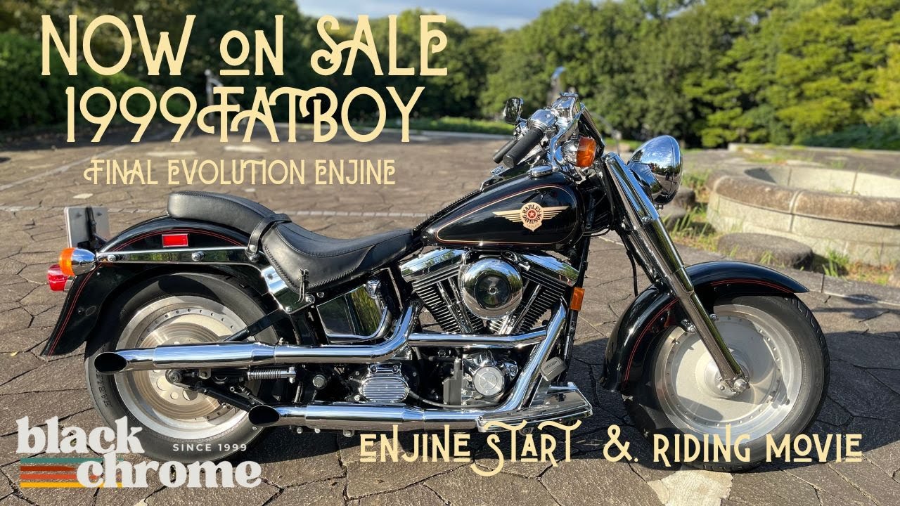 1999FATBOY エボ最終　エンジン始動＆走行動画