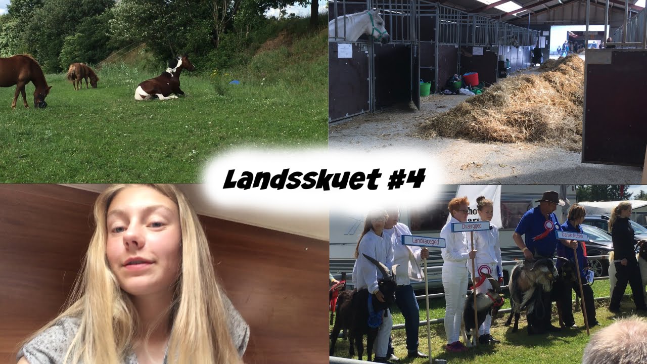 Landsskuet i Herning 2016 #4