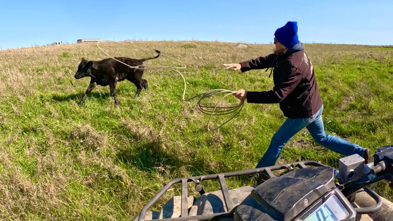 Устраиваем ранчо на ранчо!!