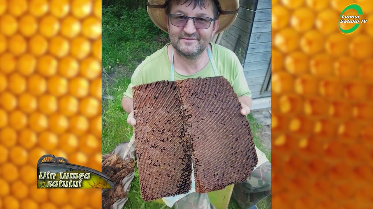 Mihai Grama - primul Tezaur Uman Viu din apicultură