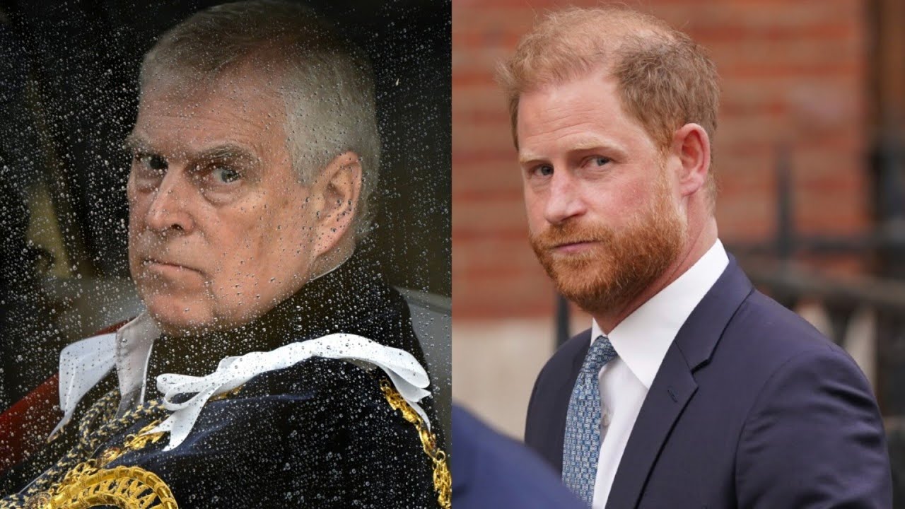 Prince Harry ‘frustrated’ at being compared to disgraced Andrew